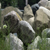 Boulders for landscape design